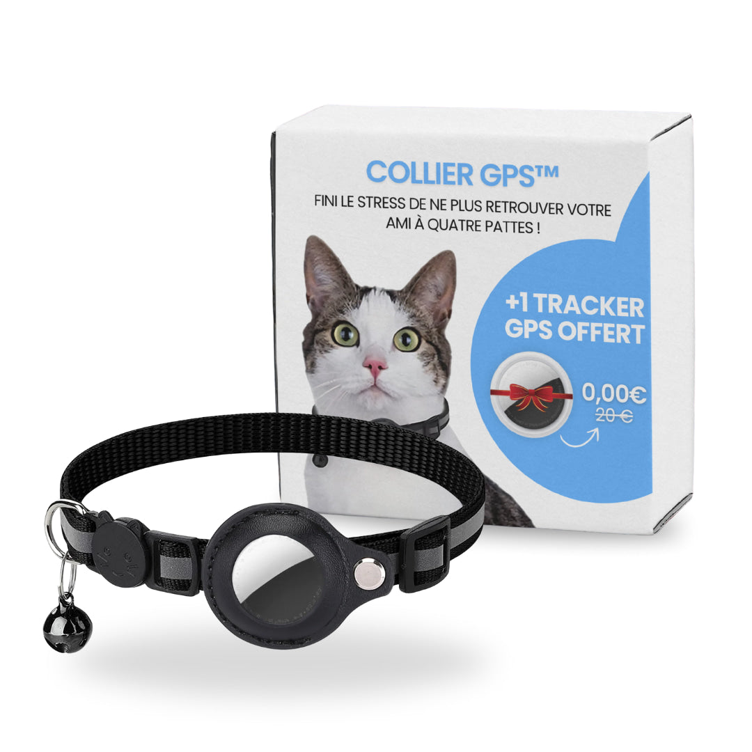 Collier GPS pour chat
