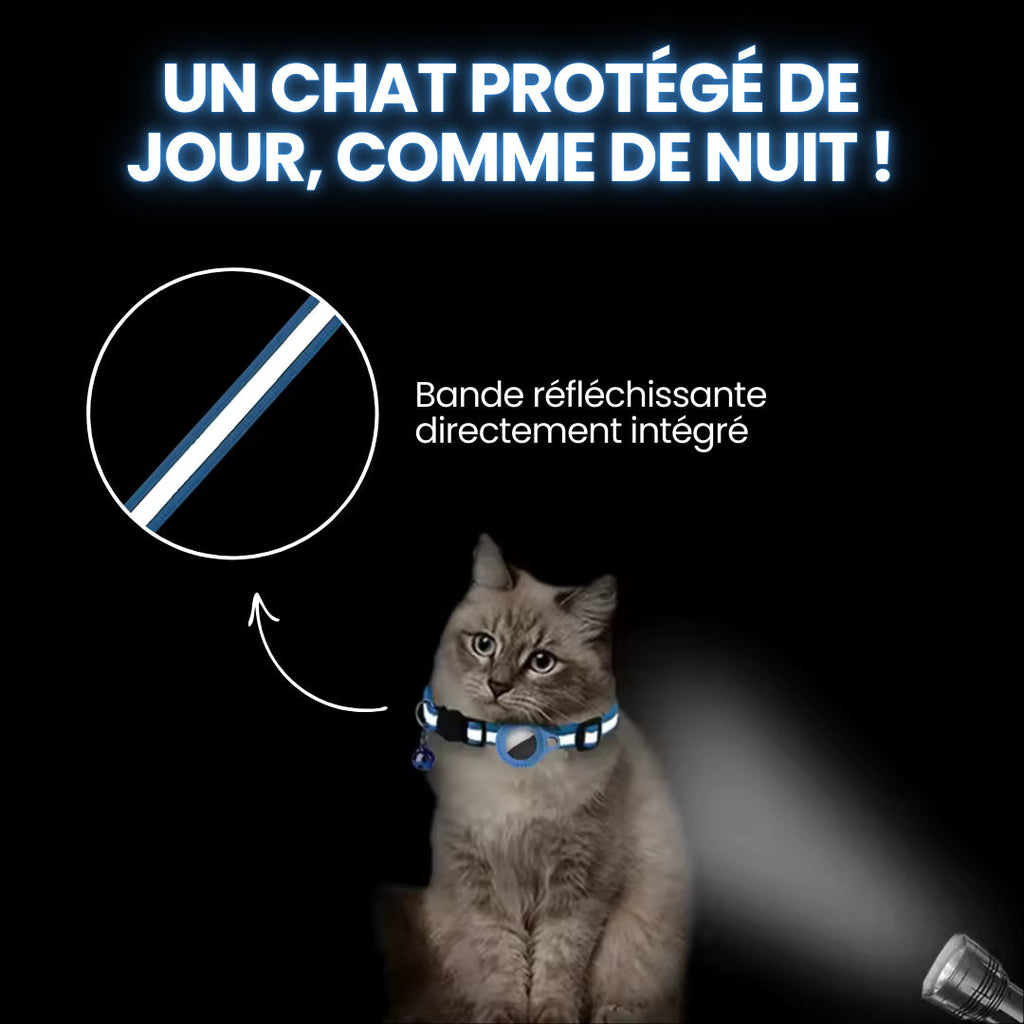 Collier GPS pour chat