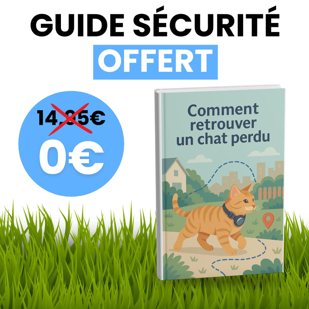 Collier GPS pour chat